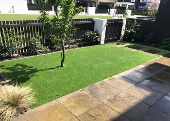 6 Things You Must Consider When Choosing The Right Turf For Your Home