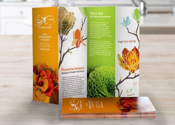 How to Design an Effective Brochure