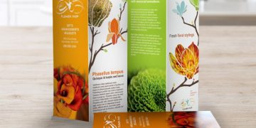 How to Design an Effective Brochure