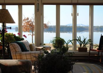 Popular Sofa Styles for Your Home