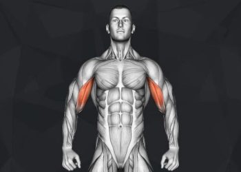 Short Head Biceps Exercises: Building Strong and Defined Arms