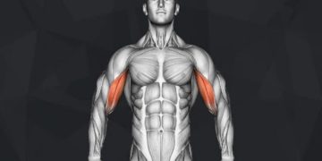 Short Head Biceps Exercises: Building Strong and Defined Arms