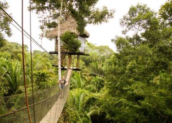 Sleeping in the Trees: Unique Amazon Jungle Experience in Peru