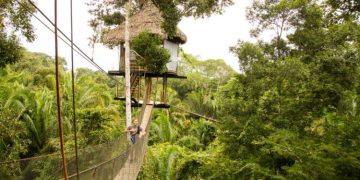 Sleeping in the Trees: Unique Amazon Jungle Experience in Peru