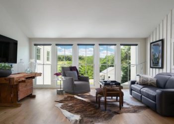 What Are The Best Living Room Windows in 2023?