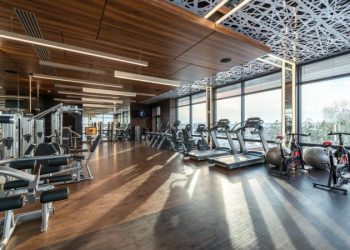 Which Cardio Machine is Best for Weight Loss?