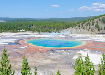 Why a Guide is Essential for Exploring Yellowstone National Park
