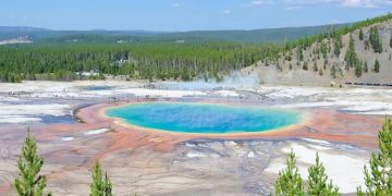 Why a Guide is Essential for Exploring Yellowstone National Park