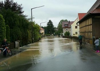 Signs of Water Damage to Your Foundation