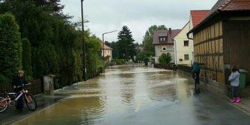 Signs of Water Damage to Your Foundation