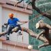 How To Choose The Best Tree Service Company