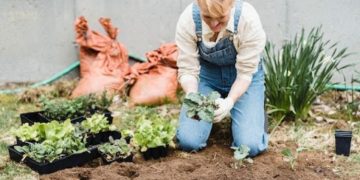 4 Tips for Starting a Garden in Your Backyard