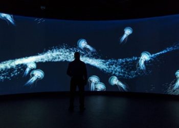 5 reasons to use led walls for events