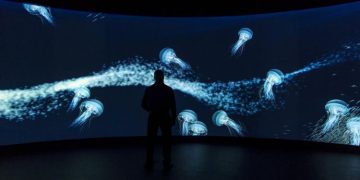 5 reasons to use led walls for events