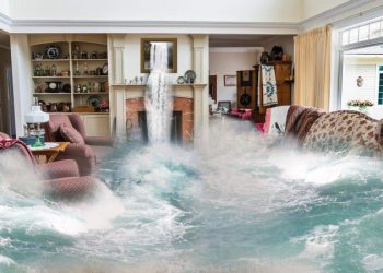 Does Renter’s Insurance in Florida Cover Water Damage