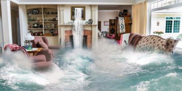 Does Renter’s Insurance in Florida Cover Water Damage