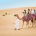 Exploring the Rich Culture of Dubai through a Desert Safari
