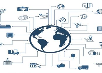 Supply Chain Transparency as a Competitive Advantage for Your Business