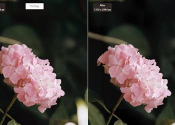 VanceAI Productivity Series Review: Economical and Effective Editing