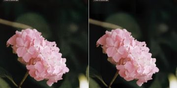 VanceAI Productivity Series Review: Economical and Effective Editing