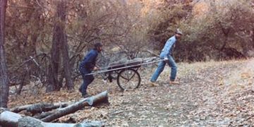 7 Tips to Choose A Deer Cart