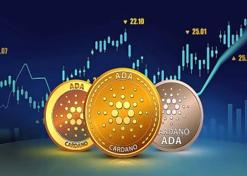 Top 5 Reasons Why You Should Have Cardano In Your Portfolio