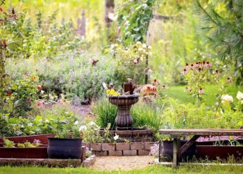 10 Amazing Mini Ecosystems You Can Create in Your Backyard