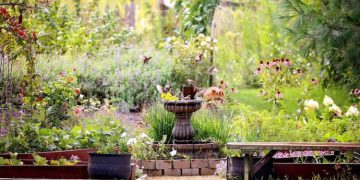10 Amazing Mini Ecosystems You Can Create in Your Backyard