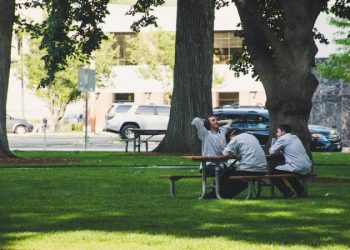 A Guide to Finding the Perfect Picnic Table