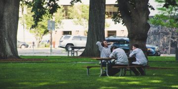 A Guide to Finding the Perfect Picnic Table