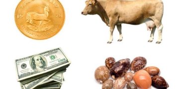 A Quick Look at the Long History of Money