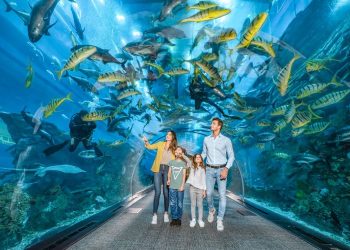 Aquarium Tickets and Dubai Aquarium & Zoo Tickets
