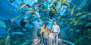 Aquarium Tickets and Dubai Aquarium & Zoo Tickets
