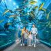 Aquarium Tickets and Dubai Aquarium & Zoo Tickets