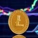 Best Practices for Securing Your Litecoin