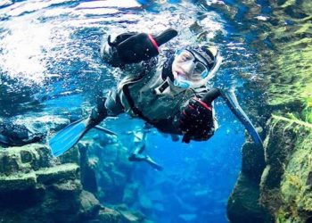 Discover the Wonders of the Ocean: Why You Need to Go on a Snorkel Tour