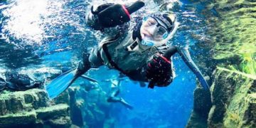 Discover the Wonders of the Ocean: Why You Need to Go on a Snorkel Tour