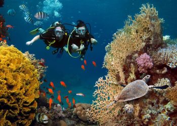 Hawaii’s Scuba Diving Expedition: A Comprehensive Guide