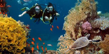 Hawaii’s Scuba Diving Expedition: A Comprehensive Guide