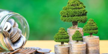Let’s Discuss the Country’s Investment Opportunities for Foreigners, Says Mulland Fraser