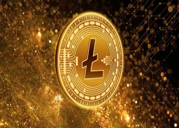 Litecoin Price Analysis: An Overview of Market Trends