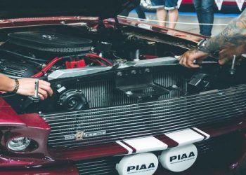 ROGO Fastener Automotive Fuses, Batteries, and Bulbs