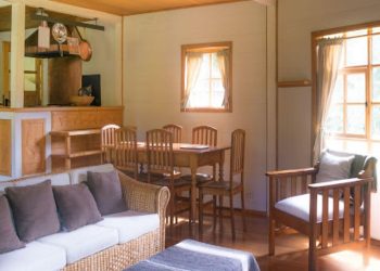 What You Need to Know When Replacing Your Rentals Windows 