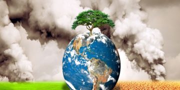 Decarbonization: What It Is & Why It Matters for Our Planet’s Future?
