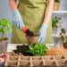 Indoor Gardening Hacks: Maximizing Space and Efficiency