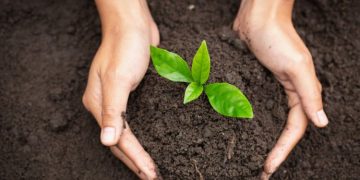  The Art of Growing Organically: Nurturing Plants and Soil Health
