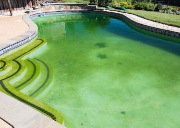 Understanding Pool Algaecides: Types, Usage, and Effectiveness