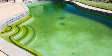 Understanding Pool Algaecides: Types, Usage, and Effectiveness