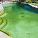 Understanding Pool Algaecides: Types, Usage, and Effectiveness