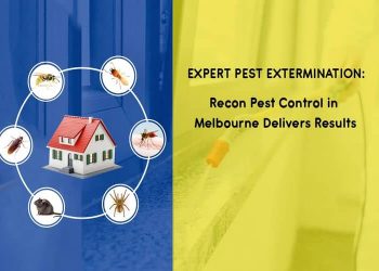 Expert Pest Extermination: Recon Pest Control in Melbourne Delivers Results